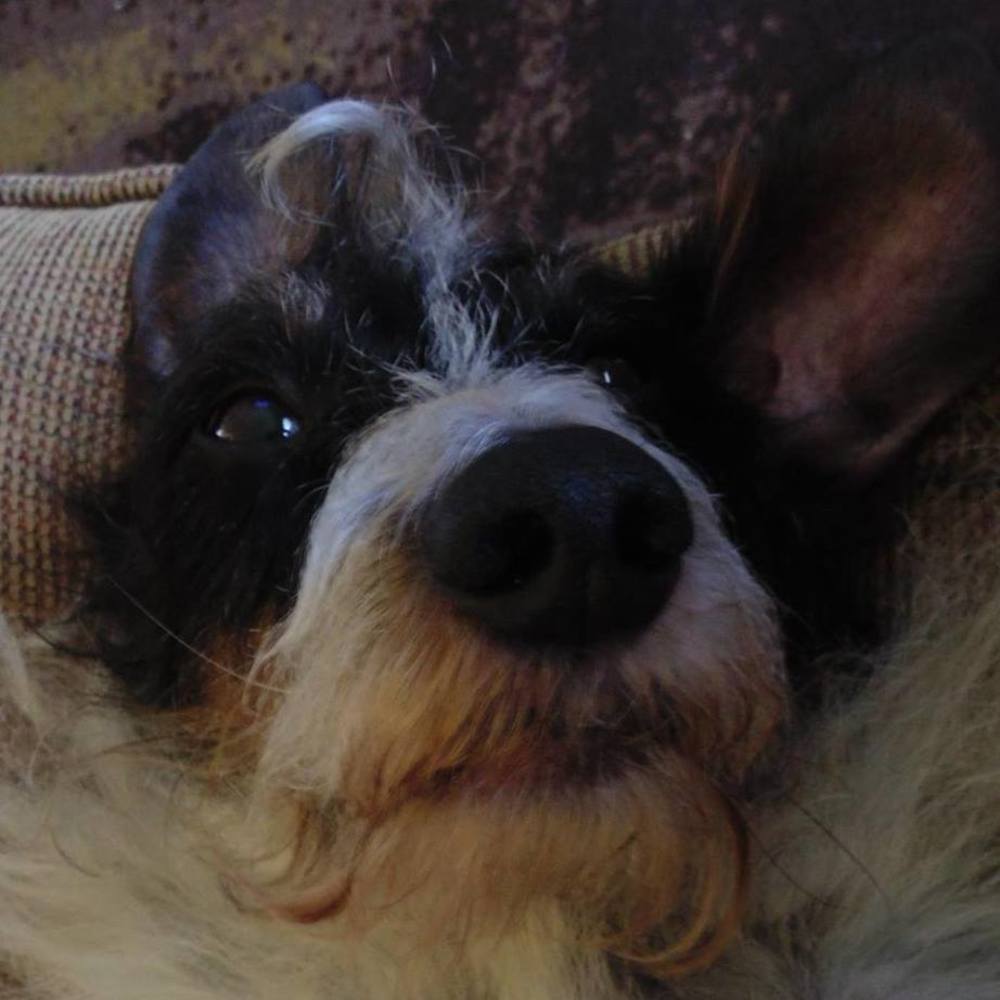 Meet your Posher, Jeanie